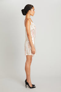 Mini Dress with Paillettes and Lace